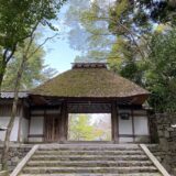 法然院情報、春の特別拝観は４月１１日（日）まで。行き方は２種類あります。