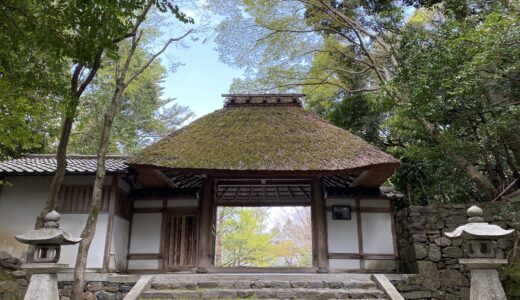法然院情報、春の特別拝観は４月１１日（日）まで。行き方は２種類あります。